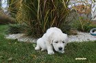 IMG_2383.JPG