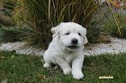IMG_2384.JPG