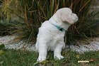 IMG_2395.JPG