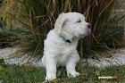 IMG_2397.JPG