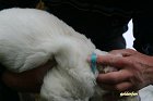 IMG_2409.JPG