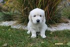 IMG_2411.JPG