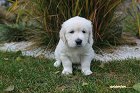 IMG_2412.JPG