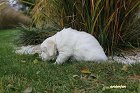 IMG_2415.JPG