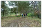 Sainte Anne -2- (Copier).JPG