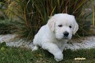 IMG_2419.JPG