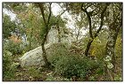 Sainte Anne -6- (Copier).JPG