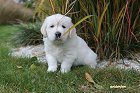 IMG_2426.JPG
