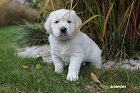 IMG_2428.JPG