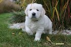 IMG_2430.JPG