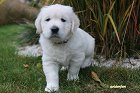IMG_2432.JPG