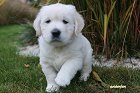 IMG_2433.JPG