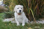 IMG_2437.JPG