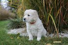 IMG_2439.JPG