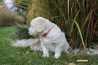 IMG_2444.JPG