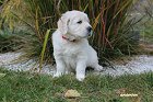 IMG_2447.JPG