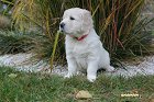 IMG_2453.JPG