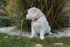 IMG_2457.JPG