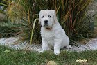 IMG_2463.JPG