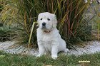 IMG_2471.JPG