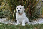 IMG_2472.JPG