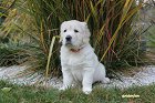 IMG_2476.JPG
