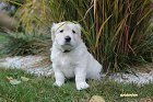 IMG_2481.JPG