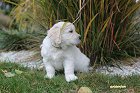 IMG_2485.JPG