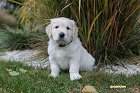 IMG_2491.JPG