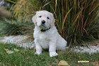 IMG_2495.JPG