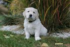IMG_2497.JPG