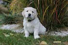 IMG_2501.JPG