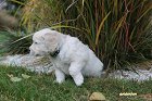 IMG_2503.JPG