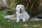 IMG_2505.JPG