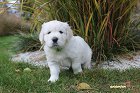 IMG_2508.JPG