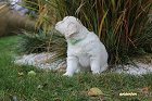 IMG_2510.JPG