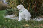 IMG_2512.JPG