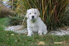 IMG_2528.JPG