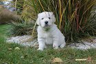 IMG_2529.JPG