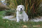 IMG_2531.JPG