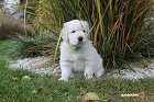 IMG_2532.JPG