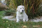 IMG_2533.JPG