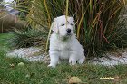 IMG_2534.JPG