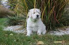 IMG_2535.JPG