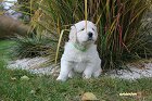 IMG_2537.JPG