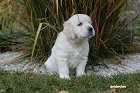 IMG_2543.JPG