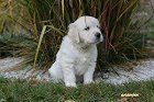 IMG_2544.JPG