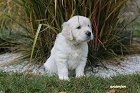 IMG_2545.JPG