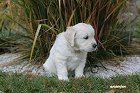 IMG_2547.JPG