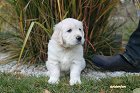 IMG_2549.JPG